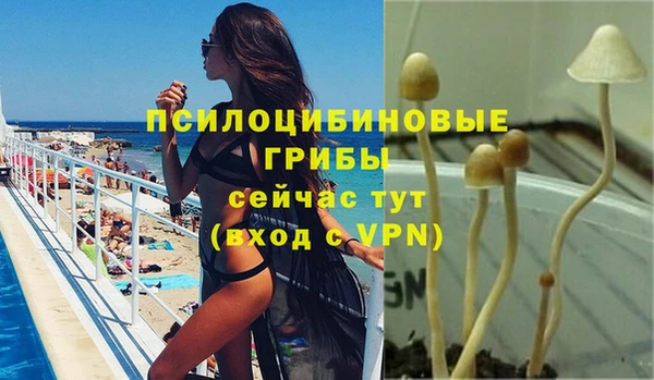 спиды Горно-Алтайск