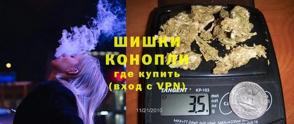ГАЛЛЮЦИНОГЕННЫЕ ГРИБЫ Гусиноозёрск