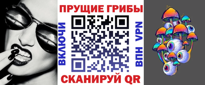 где найти   Тобольск  Псилоцибиновые грибы мицелий 