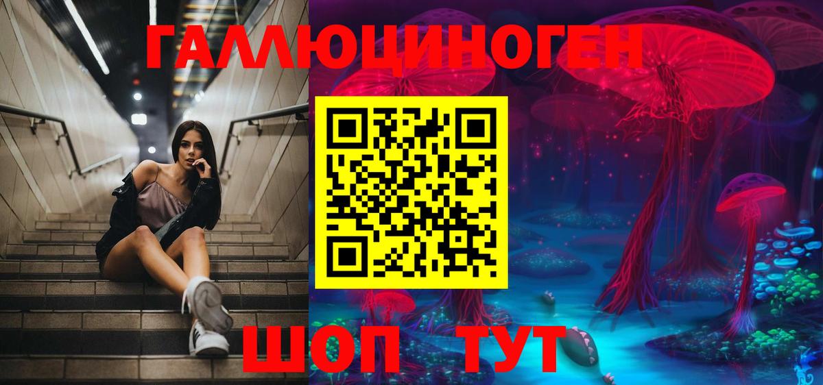 продажа наркотиков  Вход с VPN  Тобольск  Галлюциногенные грибы GOLDEN TEACHER  Галлюциногенные грибы Psilocybine cubensis 